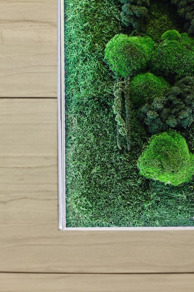 Автор дизайнер АЛИНА ВЕЙНКРОТ