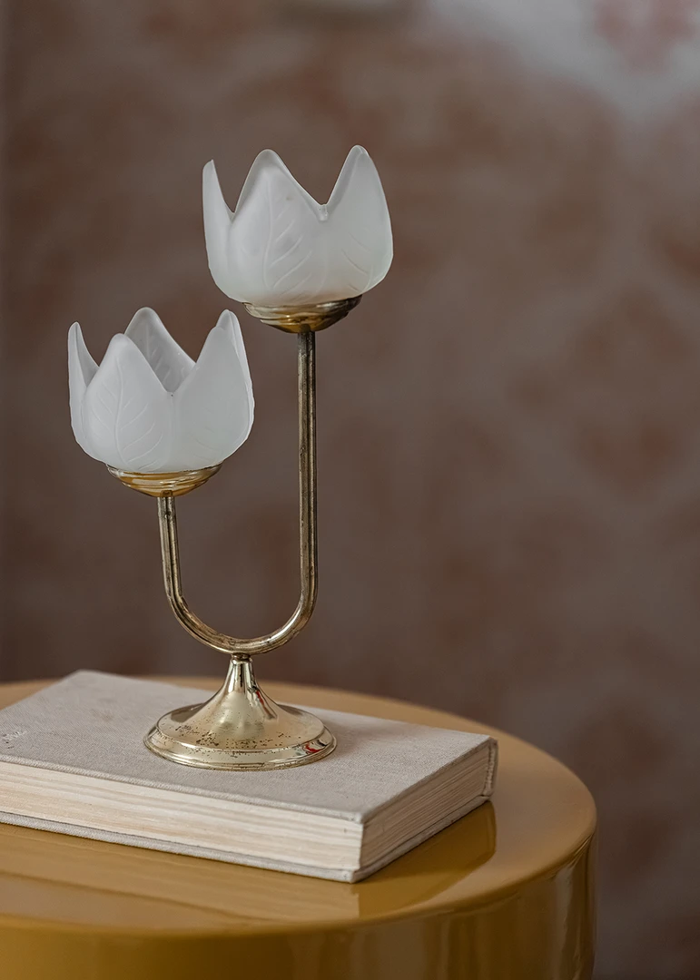 Автор дизайнер АННА ВОРОБЬЕВА