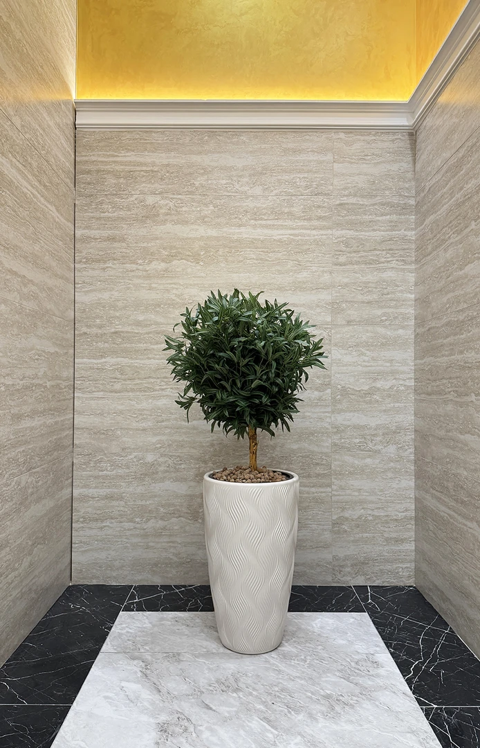 Автор дизайнер МАКСИМ ПРОНЬКИН