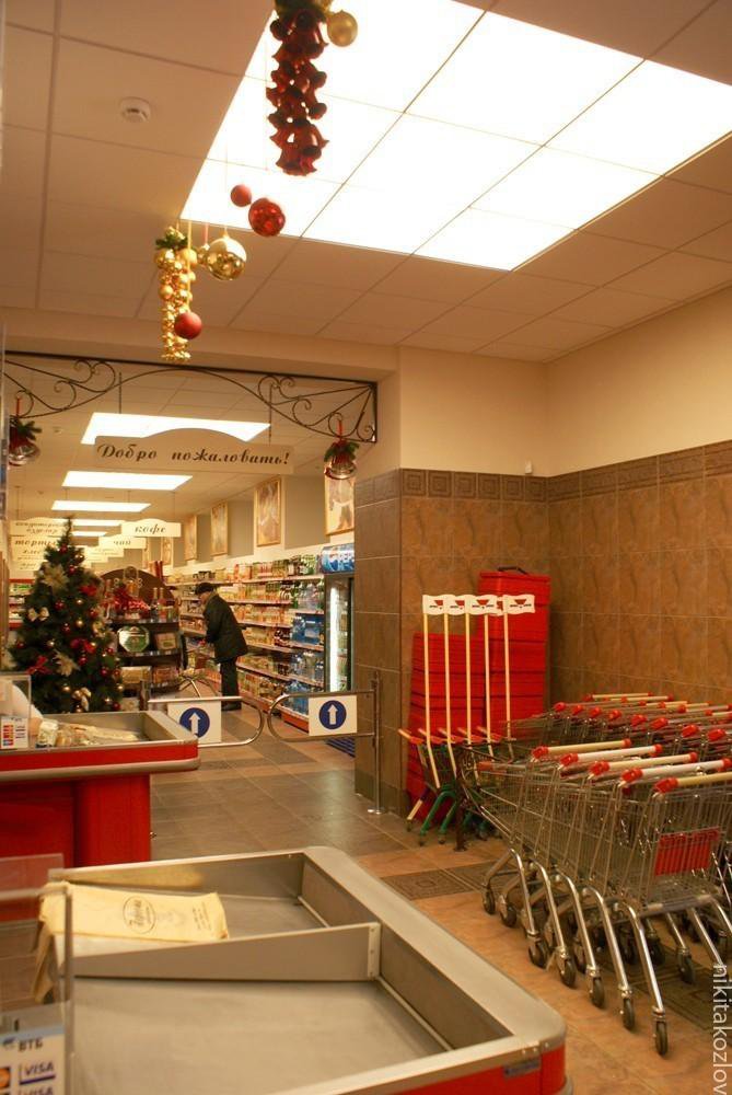 Автор дизайнер НИКИТА КОЗЛОВ