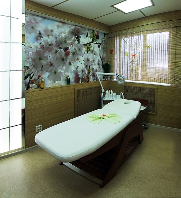 Автор дизайнер ЕКАТЕРИНА ПЕТЕЛИНА